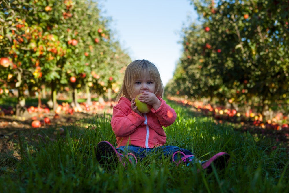 raising vegan kids | toddler girl eating fruit