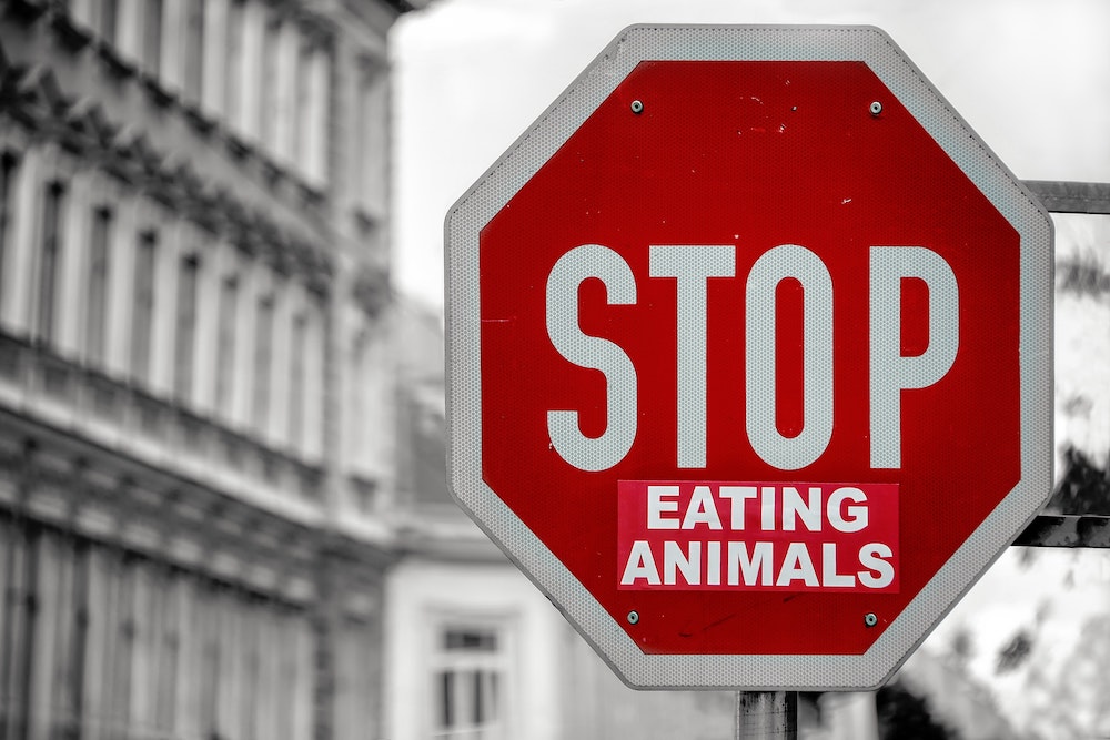 vegan vs. vegetarian - stop eating animals sign